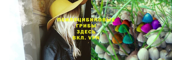 марки nbome Богданович