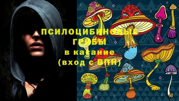 амф Богородск
