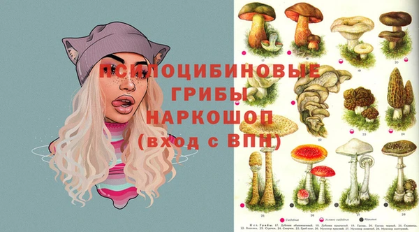 амф Богородск