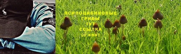 марки nbome Богданович